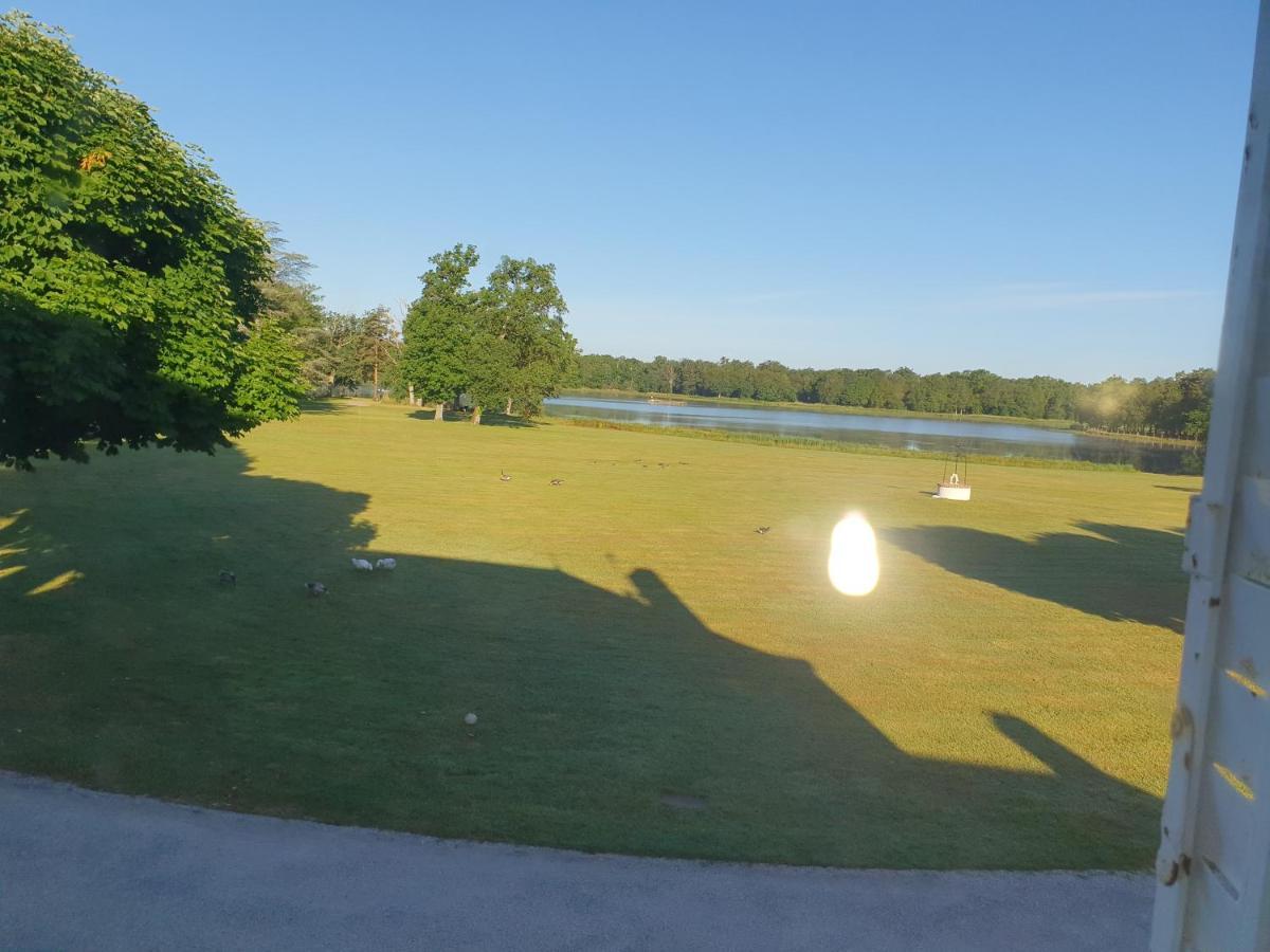 Lassay-sur-Croisne Domaine Du Rothayヴィラ エクステリア 写真