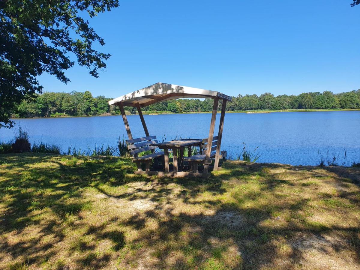 Lassay-sur-Croisne Domaine Du Rothayヴィラ エクステリア 写真